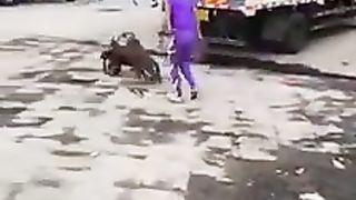 Chimpanzé fou d'Instagram