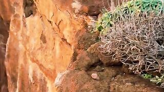 Amazing video