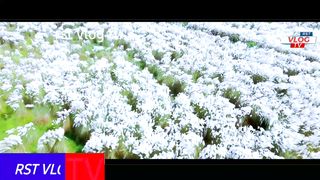 Bangladesh Diya Bari Uttara Dhaka Park Drone video
