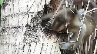 Escape