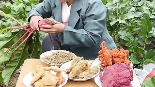 Funny video 2024