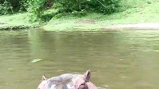 Amazing video ????