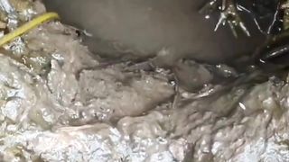 Monster Eel's Favorite Conch Meat Bait - Part 2