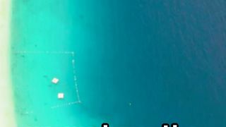 Top 5 Caribbean Islands to Call Home