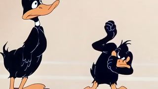 Cartoon for Kids black duck