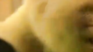 Funny Monkey Viral Video