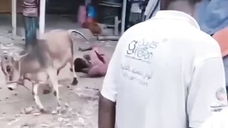 Very funny hits