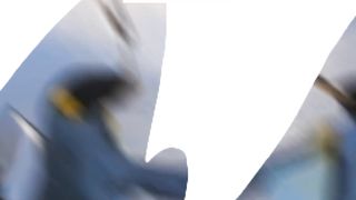 Fakta Unik Pinguin #pinguin #faktaunik #fakta pinguin