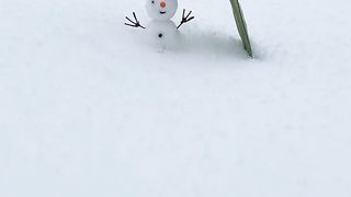 Challenge the smallest snowman