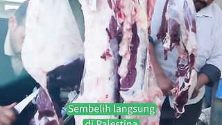 Ini loh, Daging Qurban yang Sahabat Kirim ke Palestina! - Kasih Palestina