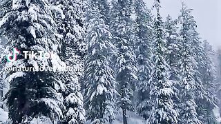 Snowfalling ????️????|Snow falling#swat #snow #faalinginlove