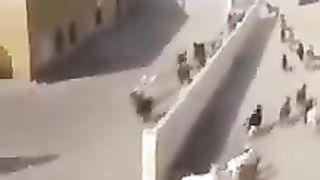 Goats playing game