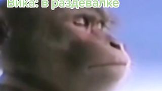 VHGRRTV