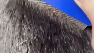 Ou