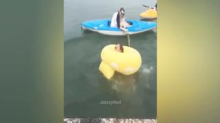 Funny & Hilarious Video People's Life #202 ???? Try Not To Laugh Funny Videos 2024