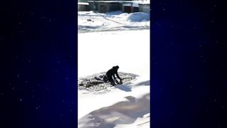Приколы 2024