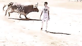 This is bull