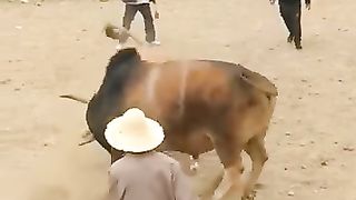 Deadleast Bull