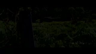 Welcome to the jungle movie trailer