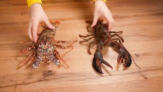 ЛОБСТЕР VS ЛАНГУСТ ЧТО ВКУСНЕЕ
