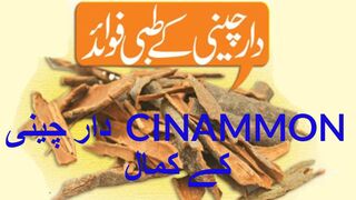 کستوری کا بدل  دارچینی کے کمالات-   POWER OF CINAMMON-  HEART TONIC-  DIL KI TAQAT