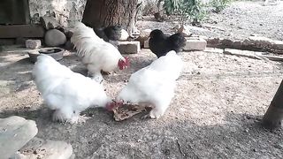 Bahut hi achi