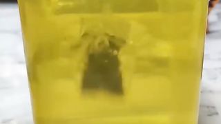 Golden shark