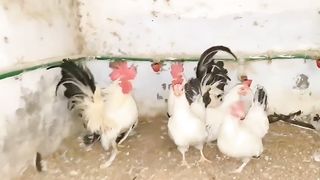 We are standing here