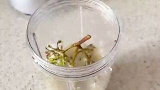 Grape blender hack