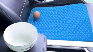 Sitting on an egg