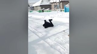 Tik Tok Funny Videos - Fail And Pranks
