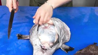 Cutting Fish ????????