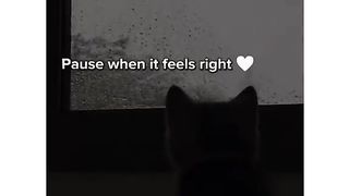PAUSE WHEN ITS FEEL ☺️