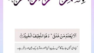 Quran , Al Quran Surah 67 Ayat 14 #viral #shorts #quran #youtubeshorts #ayat #asadnisar #plyghalatv #pilwaaltv