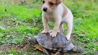 So cute