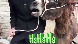 FUNNY