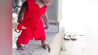 A funny monkey
