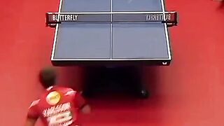 The best table tennis