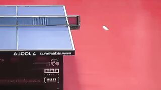 tabletennis #pingpong #tennis #tennisd