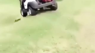 really crazy