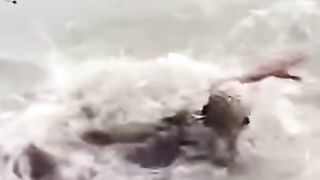 videos of Pja