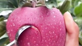 Gadgets tools amazing nice cute wonderful yummy