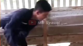 Video viral hits