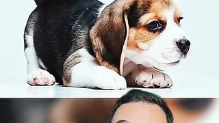 10Top popular dog names