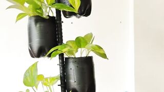 ORGANIC Garden
