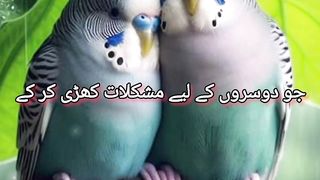 Makkaft e Amal.....#islamicquotes #shortsfeed # #reels #islamicshorts#reelsvideo #videoshorts