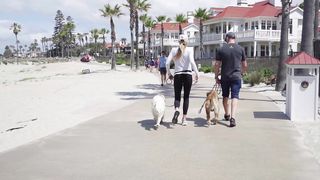 "Canine Carnival of Chuckles: Rolling in Laughter with our Furry Friends!"