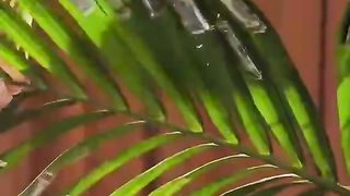 Learn a few money makers that are not bad and save your money