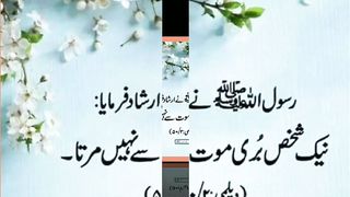 اسلامی معلومات Like share follow