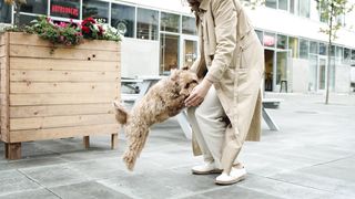 "Bark Brigade: A Hilarious Hound Hullabaloo with our Four-Legged Funnymakers!"